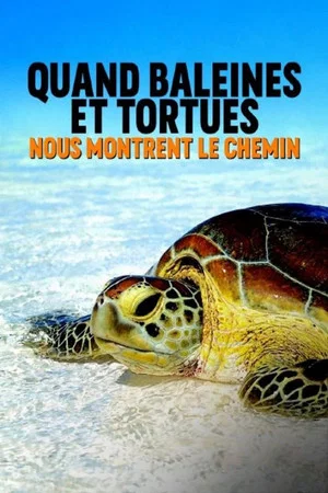 Постер: Quand baleines et tortues nous montrent le chemin