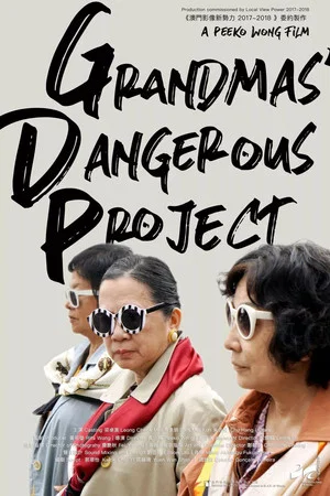 Постер: G.D.P.: Grandmas’ Dangerous Project