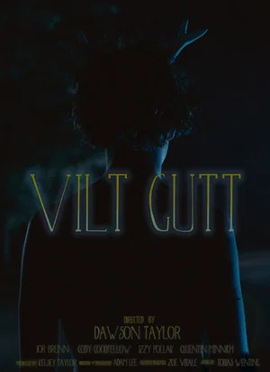 Постер: Vilt Gutt