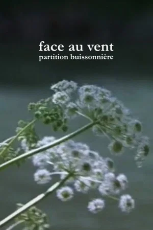 Постер: Face au vent, partition buissonnière