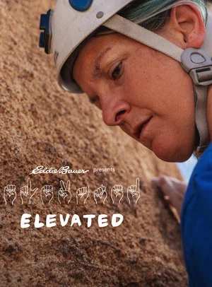 Постер: Elevated
