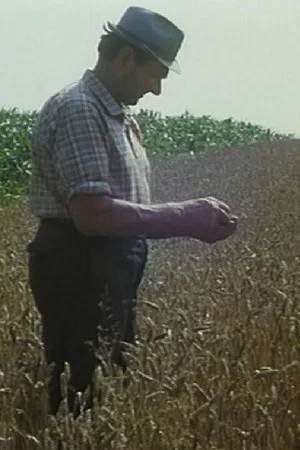 Постер: Mikolaš Farmer Worker's First Holidays