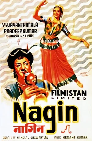 Постер: Nagin