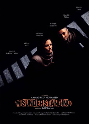 Постер: The Misunderstanding