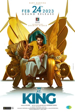 Постер: Mr. King