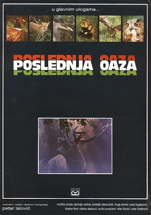 Постер: The Last Oasis