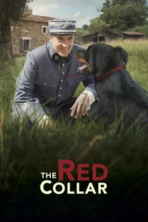 Постер: The Red Collar
