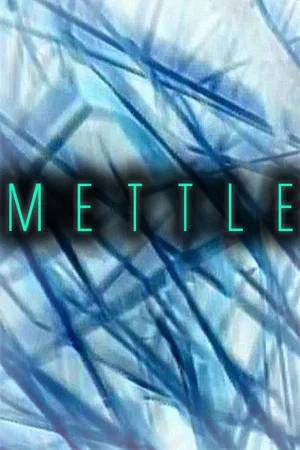 Постер: Mettle