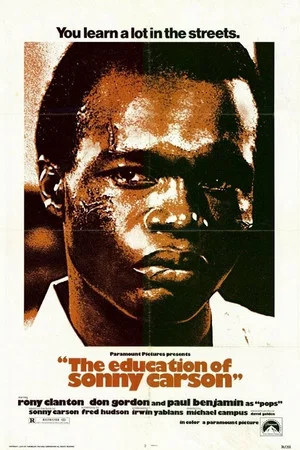 Постер: The Education of Sonny Carson