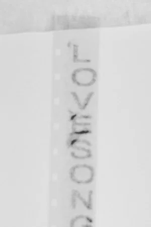 Постер: L.O.V.E.S.O.N.G.