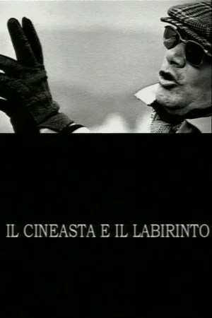 Постер: The Filmmaker and the Labyrinth