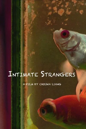 Постер: Intimate Strangers