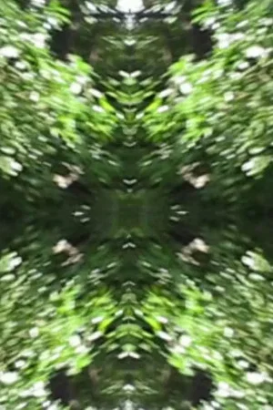 Постер: The Richter Garden