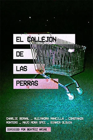 Постер: El Callejón De Las Perras
