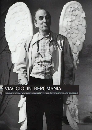 Постер: Viaggio in Bergmania