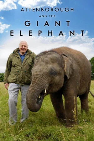Постер: Attenborough and the Giant Elephant