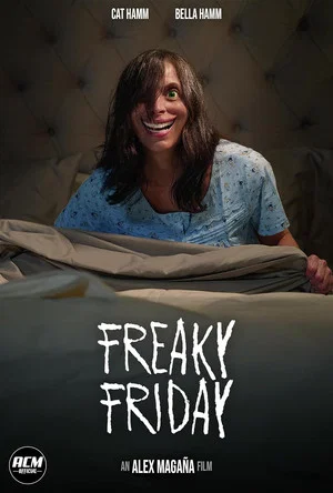 Постер: Freaky Friday