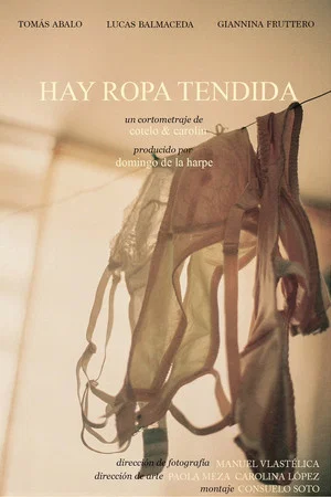 Постер: Hay ropa tendida