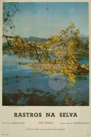 Постер: Rastros na Selva