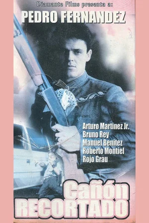 Постер: Cañón recortado