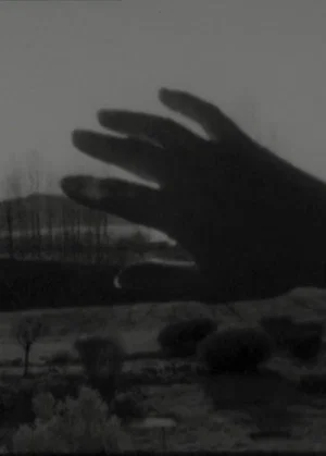 Постер: Sole in mano (o appropriazione, a propria azione, azione propria)