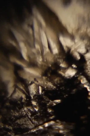 Постер: Ken Jacobs / diNMachine @ The Nervous Magic Lantern Festival