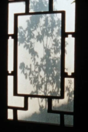 Постер: Shanghai Notebook