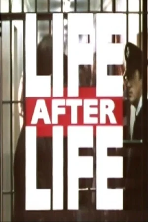 Постер: Life After Life