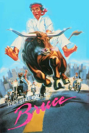 Постер: They Still Call Me Bruce