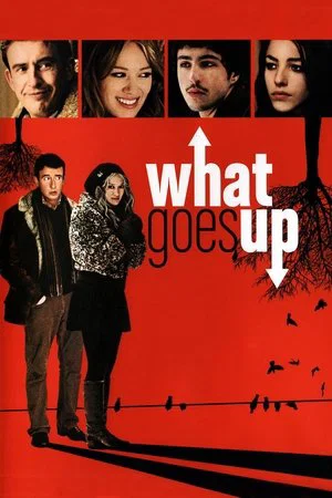 Постер: What Goes Up