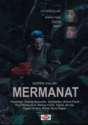 Постер: Geride Kalan Mermanat
