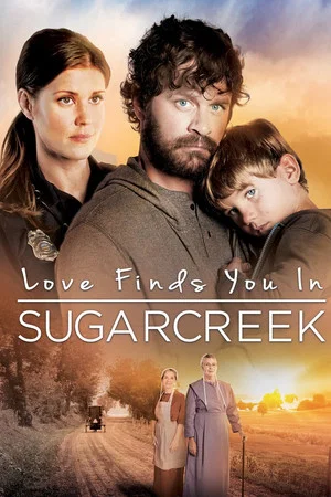 Постер: Love Finds You In Sugarcreek
