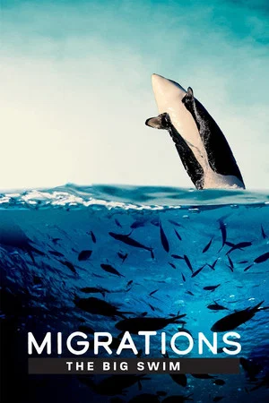 Постер: Migrations: The Big Swim