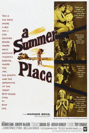 Постер: A Summer Place