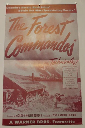 Постер: The Forest Commandos