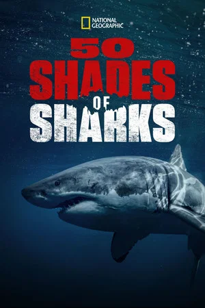 Постер: Cinquante nuances de requins