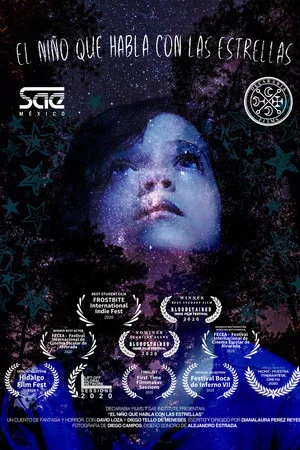 Постер: The Boy Who Speaks to the Stars