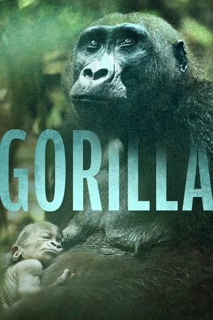 Постер: Gorilla