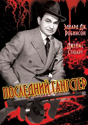Постер: Последний гангстер
