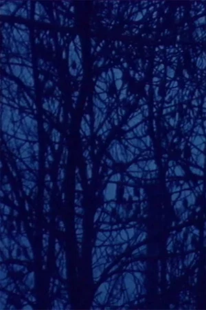 Постер: Il lago (soggettivo-oggettivo)