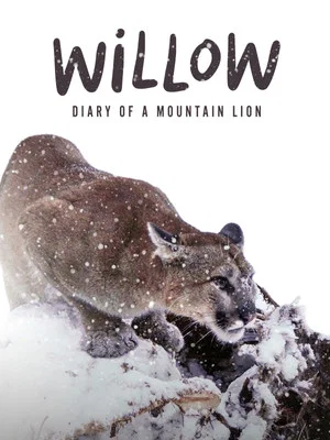 Постер: Willow: Diary of a Mountain Lion