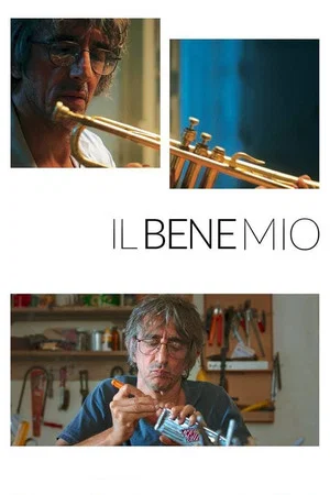 Постер: Il bene mio