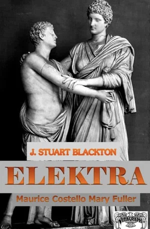 Постер: Elektra