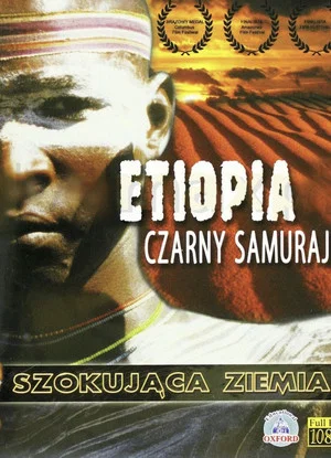 Постер: Black Samurai