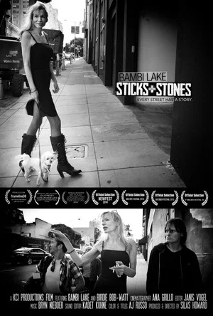 Постер: Sticks & Stones