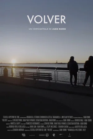 Постер: Volver