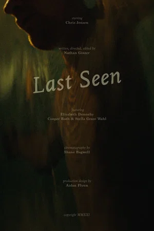 Постер: Last Seen