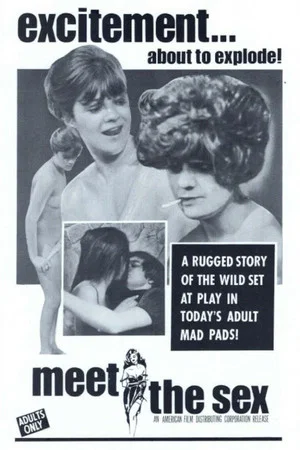 Постер: Meet The Sex