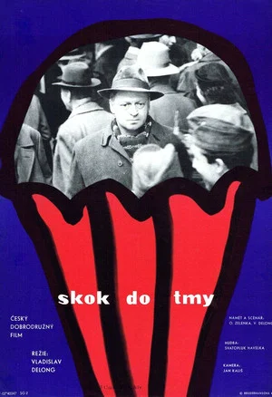 Постер: A Leap In The Dark