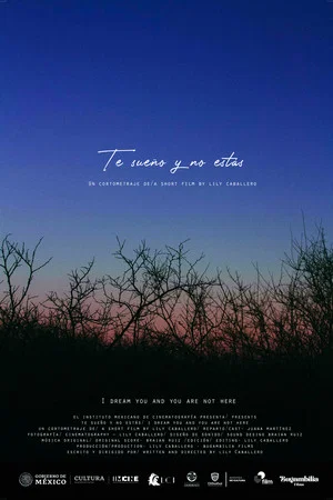 Постер: I dream you and you are not here